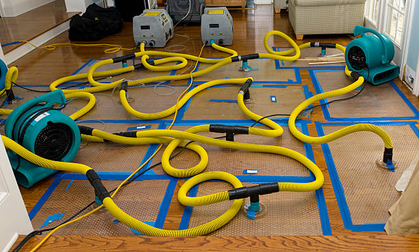 Professional Water Damage Restoration technician working in Ogilvie, MN